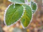 foto/diskuze/z_lovu/2009/th-img27602.jpg