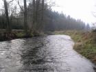 foto/diskuze/z_lovu/2009/th-img29060.jpg