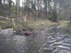 foto/diskuze/z_lovu/2009/th-img29062.jpg