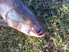 foto/diskuze/z_lovu/2009/th-img29248.jpg