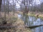 foto/diskuze/z_lovu/2009/th-img29463.jpg