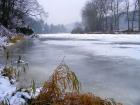 foto/diskuze/z_lovu/2009/th-img29779.jpg