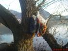 foto/diskuze/z_lovu/2009/th-img29876.jpg