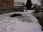 foto/diskuze/z_lovu/2010/th-img30057.jpg