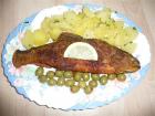 foto/diskuze/z_lovu/2010/th-img30235.jpg