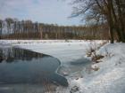 foto/diskuze/z_lovu/2010/th-img31131.jpg