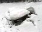 foto/diskuze/z_lovu/2010/th-img31239.jpg