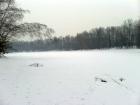 foto/diskuze/z_lovu/2010/th-img31240.jpg