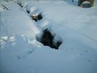 foto/diskuze/z_lovu/2010/th-img31368.jpg