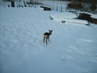 foto/diskuze/z_lovu/2010/th-img31369.jpg