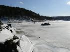 foto/diskuze/z_lovu/2010/th-img31407.jpg