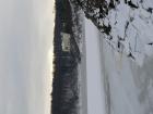 foto/diskuze/z_lovu/2010/th-img31409.jpg