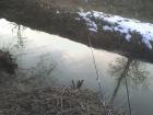 foto/diskuze/z_lovu/2010/th-img31474.jpg