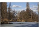 foto/diskuze/z_lovu/2010/th-img31621.jpg
