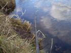 foto/diskuze/z_lovu/2010/th-img31635.jpg
