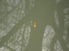 foto/diskuze/z_lovu/2010/th-img31656.jpg