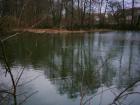 foto/diskuze/z_lovu/2010/th-img31945.jpg