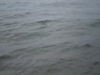 foto/diskuze/z_lovu/2010/th-img32232.jpg