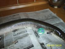 foto/diskuze/z_lovu/2010/th-img32791.jpg