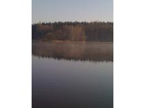 foto/diskuze/z_lovu/2010/th-img32977.jpg