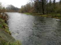 foto/diskuze/z_lovu/2010/th-img33054.jpg