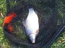 foto/diskuze/z_lovu/2010/th-img33067.jpg