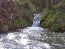 foto/diskuze/z_lovu/2010/th-img33134.jpg