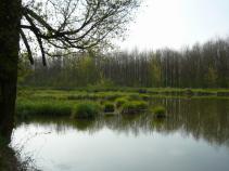 foto/diskuze/z_lovu/2010/th-img33270.jpg