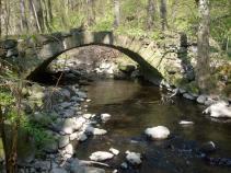foto/diskuze/z_lovu/2010/th-img33378.jpg