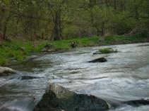 foto/diskuze/z_lovu/2010/th-img33556.jpg