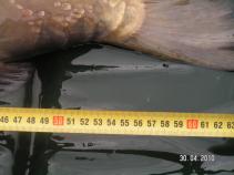 foto/diskuze/z_lovu/2010/th-img33675.jpg