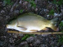 foto/diskuze/z_lovu/2010/th-img33868.jpg