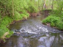 foto/diskuze/z_lovu/2010/th-img33936.jpg