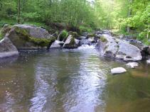 foto/diskuze/z_lovu/2010/th-img33937.jpg