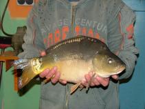 foto/diskuze/z_lovu/2010/th-img34092.jpg