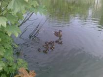 foto/diskuze/z_lovu/2010/th-img34103.jpg
