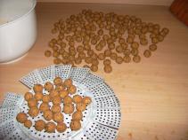foto/diskuze/z_lovu/2010/th-img34172.jpg