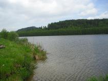 foto/diskuze/z_lovu/2010/th-img34507.jpg