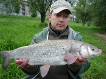 foto/diskuze/z_lovu/2010/th-img34575.jpg