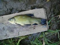 foto/diskuze/z_lovu/2010/th-img34598.jpg