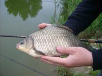 foto/diskuze/z_lovu/2010/th-img34600.jpg