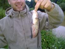 foto/diskuze/z_lovu/2010/th-img35045.jpg