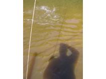 foto/diskuze/z_lovu/2010/th-img35385.jpg