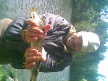 foto/diskuze/z_lovu/2010/th-img35585.jpg