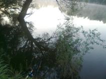 foto/diskuze/z_lovu/2010/th-img35997.jpg