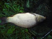foto/diskuze/z_lovu/2010/th-img36357.jpg