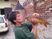 foto/diskuze/z_lovu/2010/th-img36600.jpg