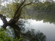 foto/diskuze/z_lovu/2010/th-img36655.jpg