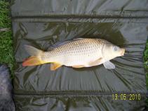 foto/diskuze/z_lovu/2010/th-img36824.jpg