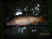 foto/diskuze/z_lovu/2010/th-img36826.jpg